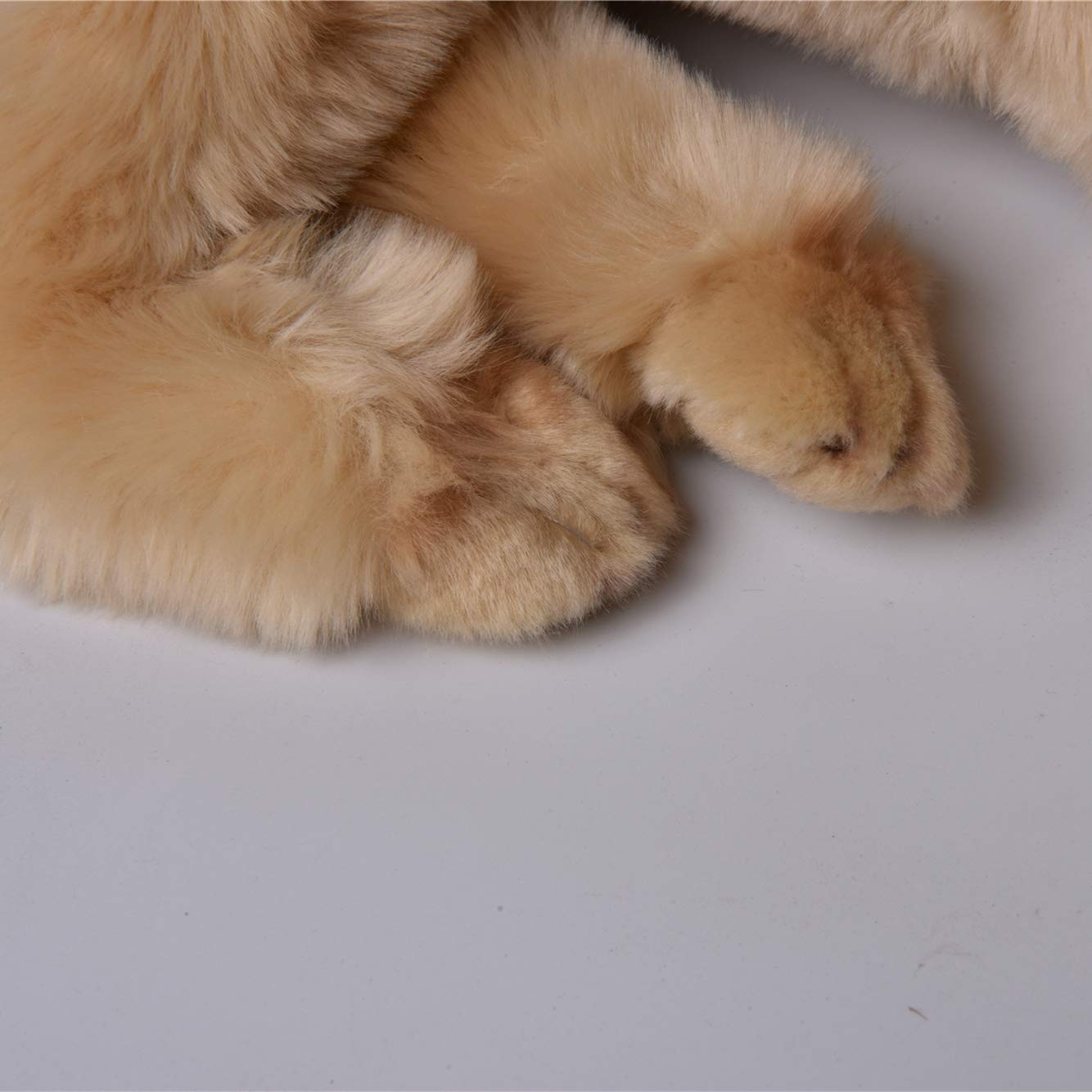 Amazon.co.jp: ゴールデンレトリバー ラブラドール レトリーバー 犬