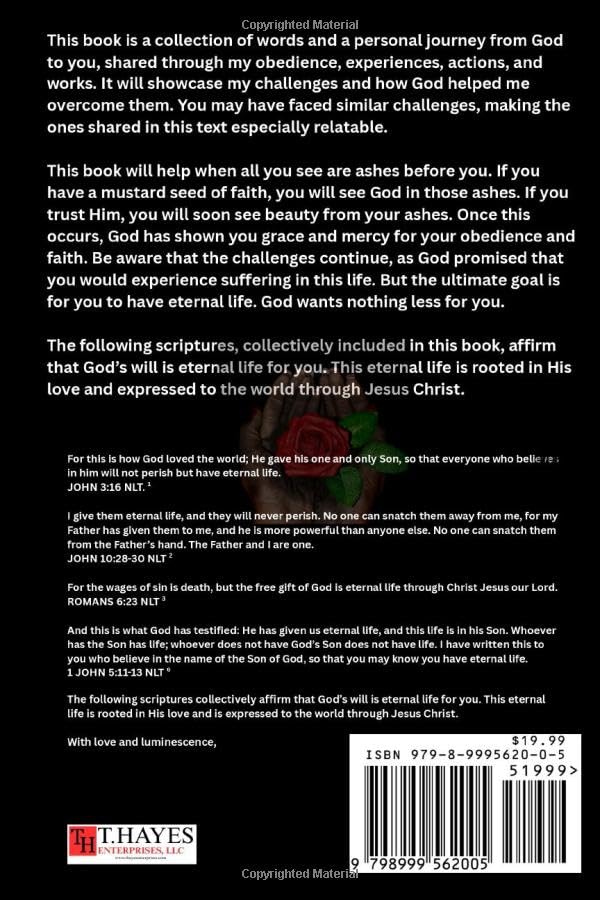 Beauty From Ashes: Applying God's Wisdom To Rebuild, Renew, And Restore Your Life (Beauty From Ashes Series) - Image 2