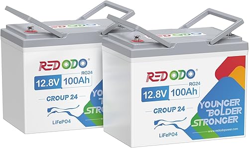Redodo 12V 100Ah LiFePO4 Battery Group 24 (2 Pack), Lithium Battery Built-in 100A BMS, Max.20.48kWh, 4000+ Deep Cycles, Born for All American RV