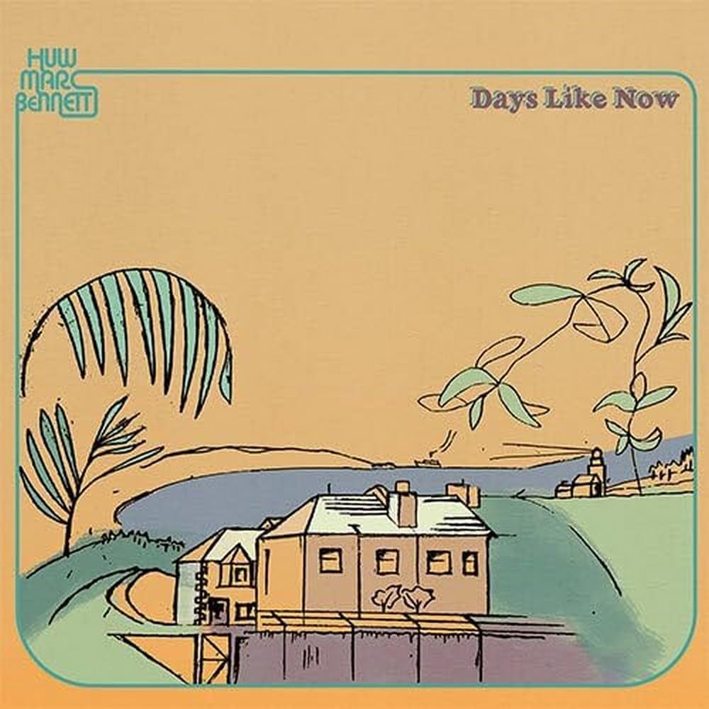 Days Like Now [VINYL]