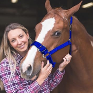 Equestrian Accessories Hollow Adjustable Horse Riding Equestrian Horse Horse Headknot Horse Horse Tack Blue