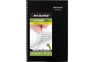 DayMinder 2024-2025 Academic Monthly Planner, Large 8x12
