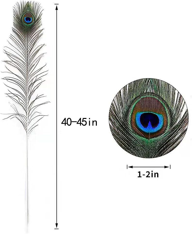 Ballinger 20pcs Natural Peacock Feathers Long Pole Bulk 40-45 inch for DIY Craft, Wedding Holiday Decorationn and Floral Arrangement