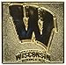 FANMATS NCAA University of Wisconsin Badgers Metal-Alloy FanBrand
