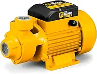 Bomba Submersa Caneta TCN500 The Black Tools – 1/2HP 3" 110V/220V para Poço Artesiano Água Potável (220, Volts)