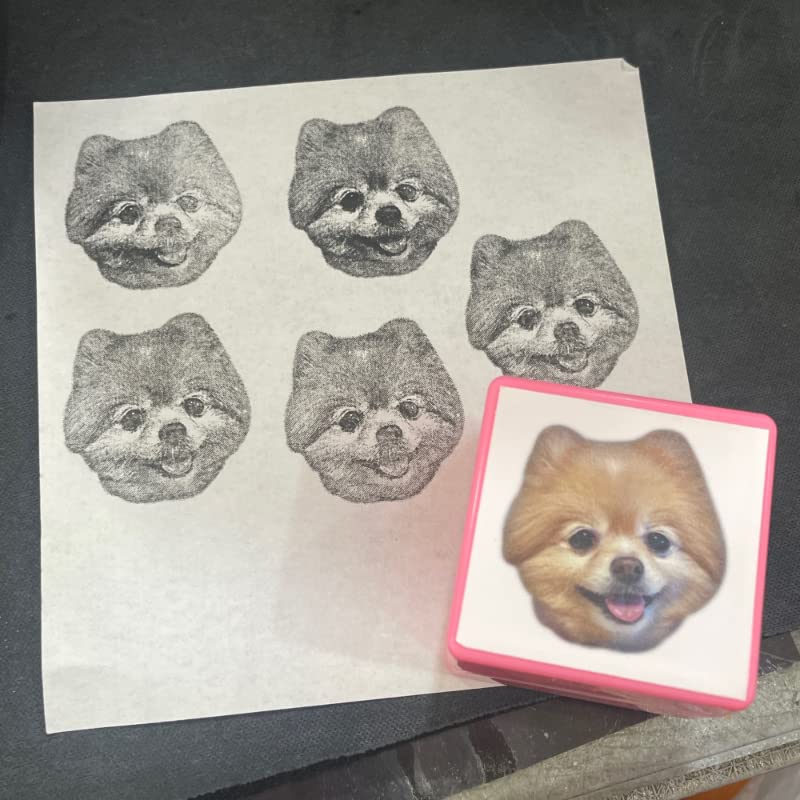 Personalisierter Haustier-Stempel – Individueller Fotostempel Von Deinem Hund Oder Katze, Mit Namen, Selbstfärbend
