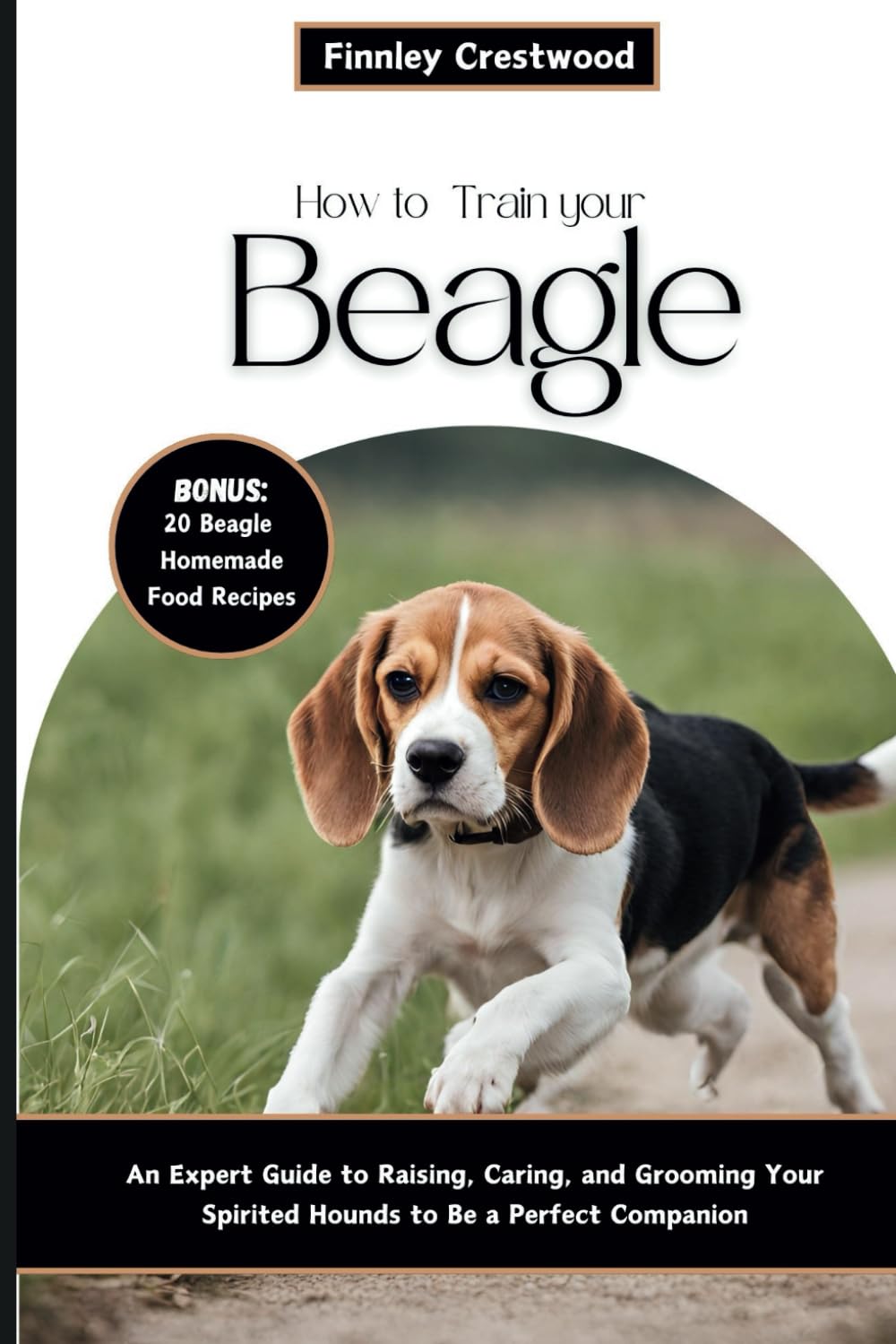 How to Train Your Beagle: An Expert Guide to Raising, Caring, and Grooming Your Spirited Hounds to Be a Perfect Companion