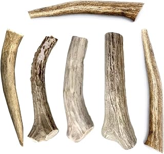Premium Deer Antler for Dogs -(6 Pack) 4-7 Inch Long Lasting Dog Chews,Naturally Shed Deer Antler Bones for Small & Medium Breed Aggressive Chewers - Sourced in USA