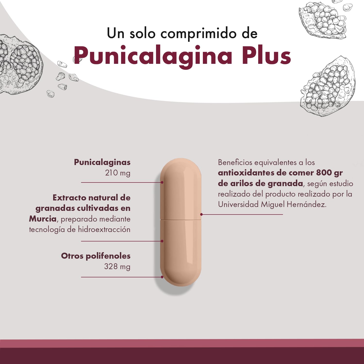 Granatum Plus - Punicalagina Plus - Complemento Alimenticio - Extraído de Granadas - Suplemento Antioxidante - Digestión y Metabolismo - Cuidado de Piel - Producido en España (3 Cajas de 28 cápsulas)