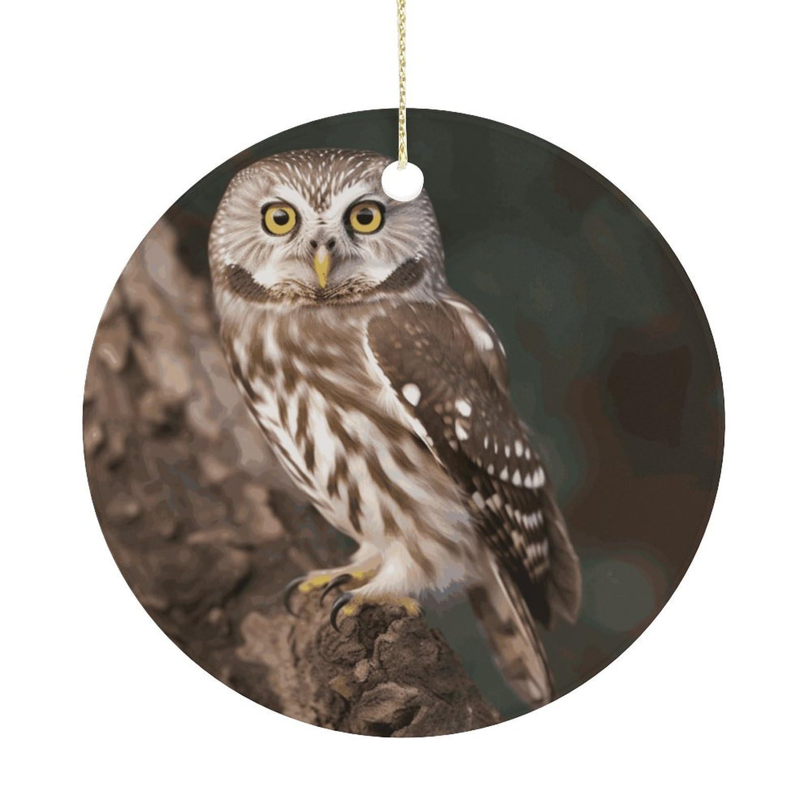 Wildlife Animal Owl Christmas Ornaments Colorful Round Ceramic Ornament Christmas Hanging Decor Christmas Tree Decorations Xmas Keepsake for Women Men Xmas Holiday Party