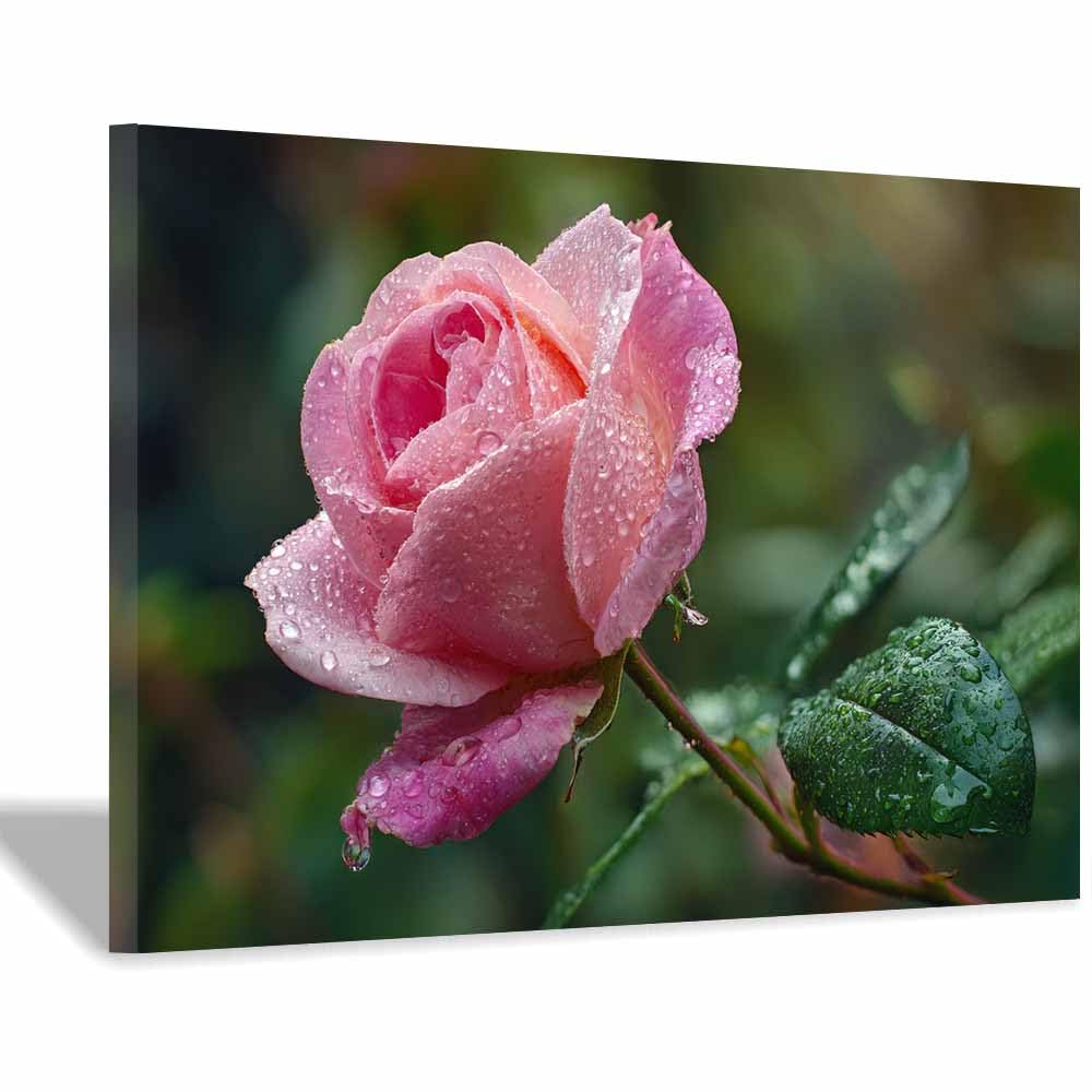 ZAMAEIU Landscape Wall Art Dew-dappled Rosess Modern Canvas Print On Artwork, Suitable for living room, bedroom, for Kids Room Decoretc.(pink)-70x100cm Framed