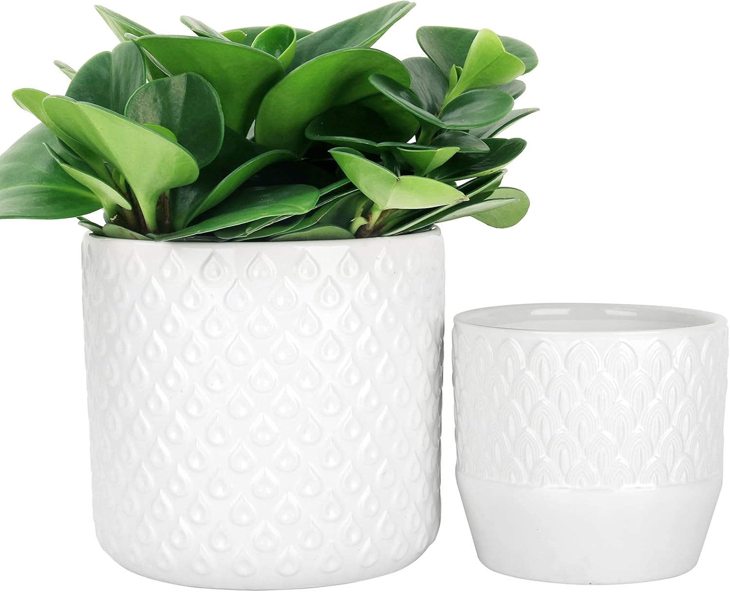 LA JOLIE MUSE Ceramic Planter Set of 2 - 6.6 Inch Greece Style Embossed Flower Pot with Drain Hole for Indoor, with Classic Scrolls Pattern, Ivory : Garden & Outdoor