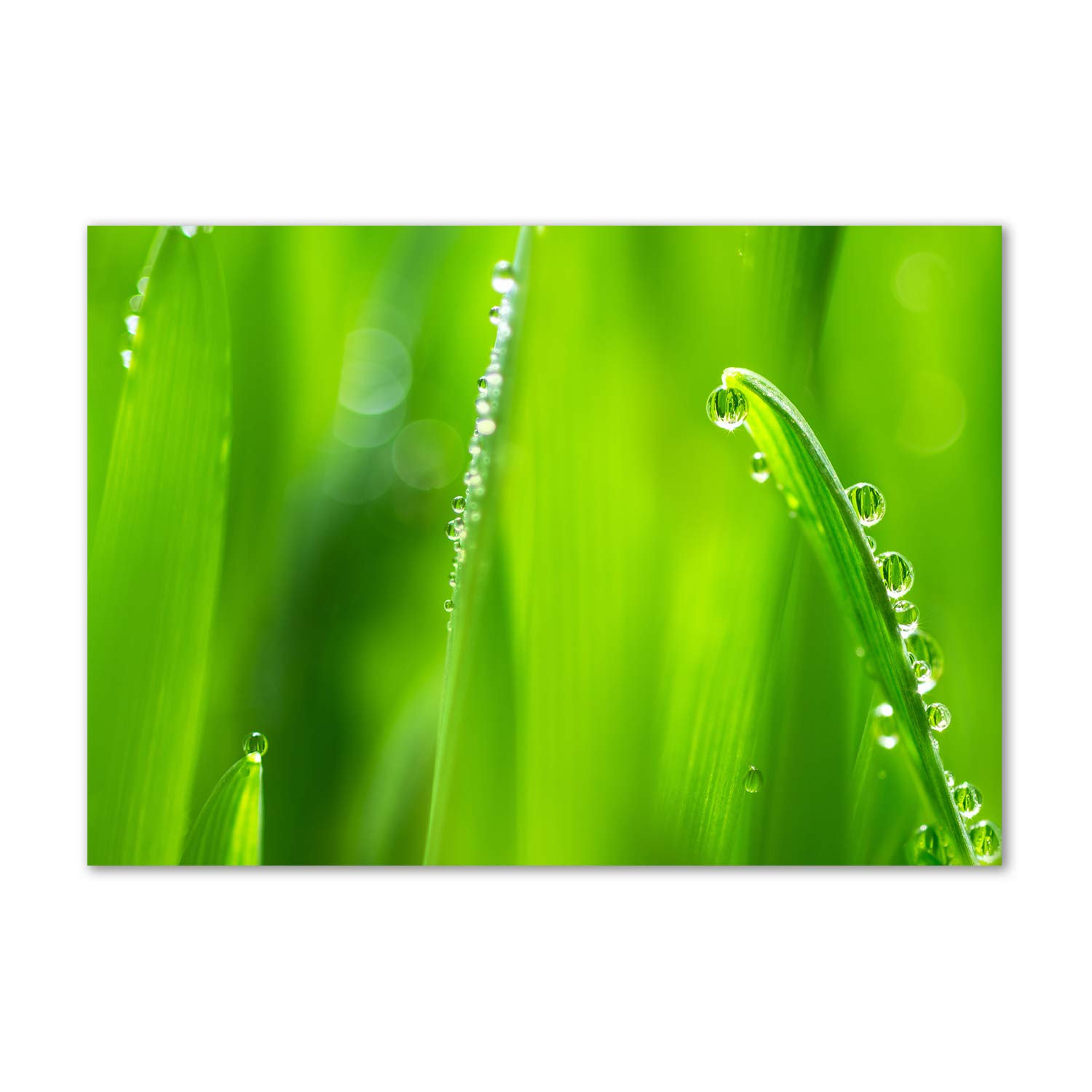 Tableau acrylique vert Tulup pour salon | Image verre plastique