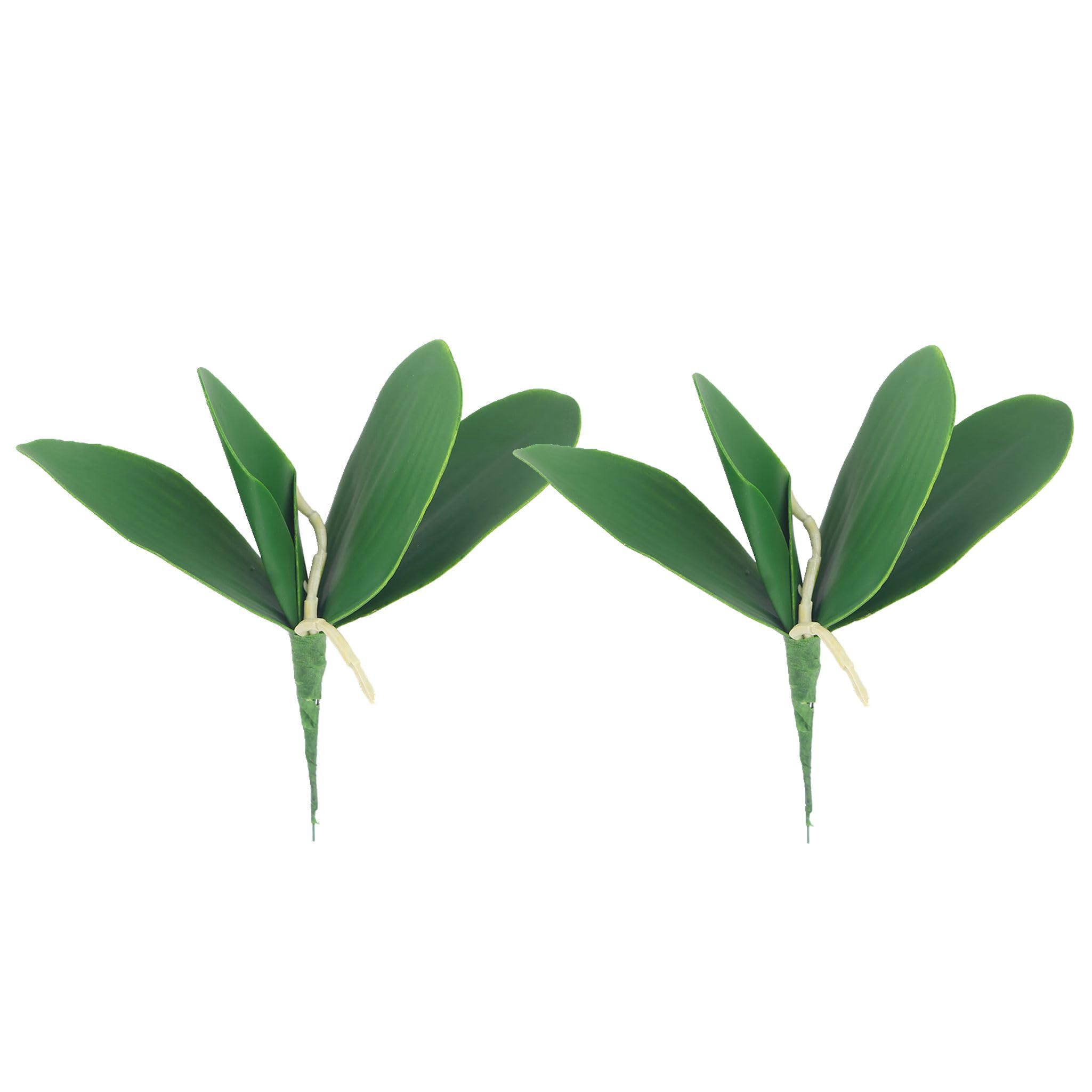 Vctitil 2pcs Butterfly Orchid Leaf Artificial Phalaenopsis Stems Leaf DIY Silk Leaf PU Decorative Plastic Fake Flowers Green Leaves