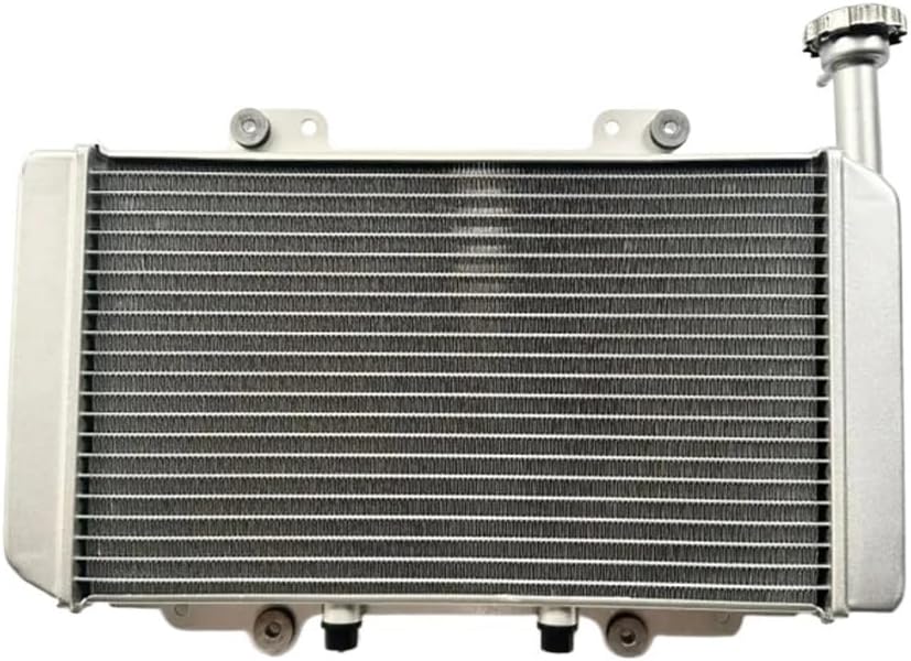 ラジエーターウォータータンク Hi Mas MSU400 H400UTV HS400UTV-2 400 UTV サイドバイCol O