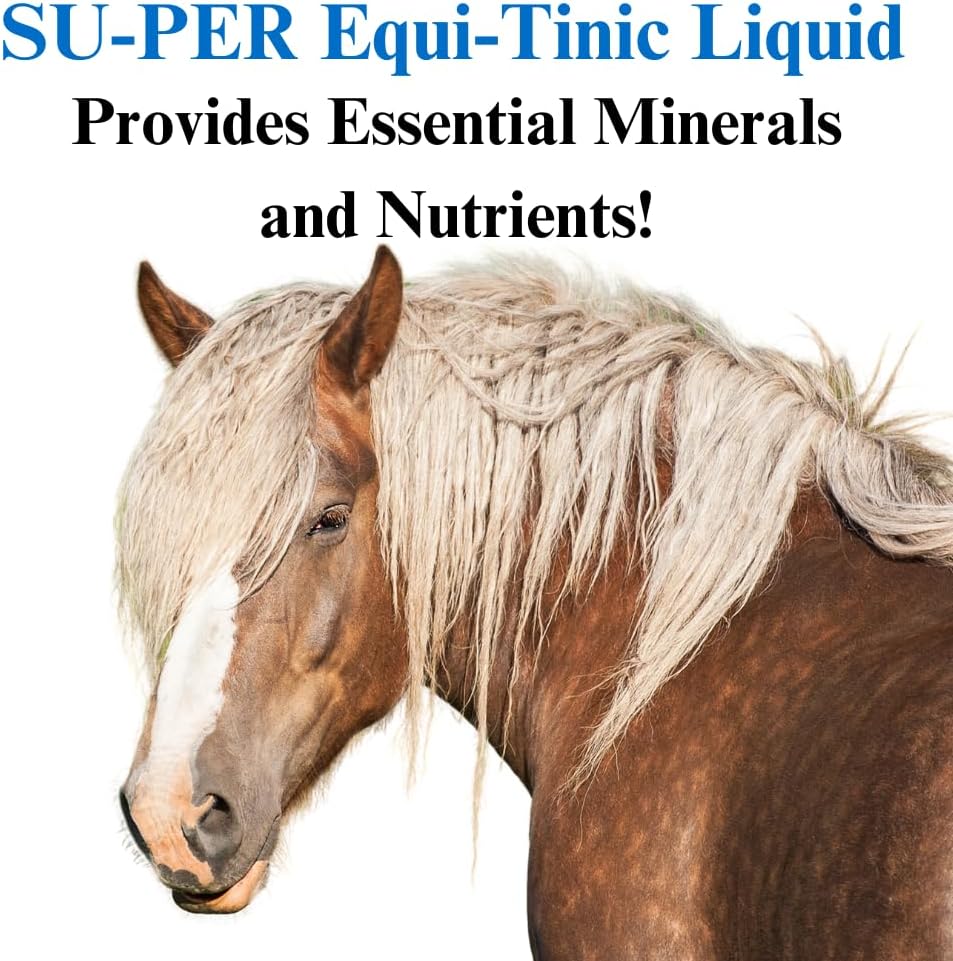 SU-PER Equi-Tinic Horse Minerals Supplement - Essential Minerals and Nutrients for Healthy Blood Cells & Energy - 1 Gallon