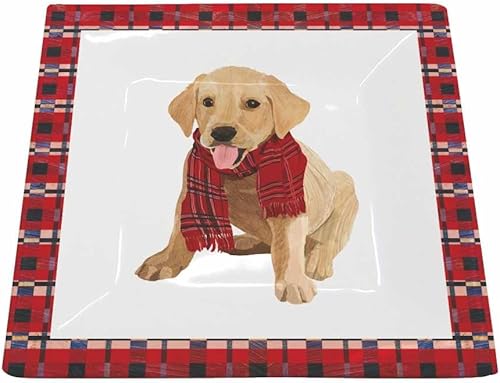 Paperproducts Design Plato cuadrado decorativo de porcelana de hueso de 5.75 pulgadas, postre, ensalada y servir, diseños artísticos, nuevo plato de