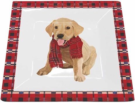 Paperproducts Design Patti Gay/Two Can Art Decorative Bone China Plate - Square Plate for Dessert, Salad, Serving 5.75" x 5.75" - Monty Design