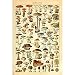 Meishe Art Vintage Poster Print Mushrooms Champignons Identification Reference Chart Diagram Illustration Botanical Educational Wall Decor