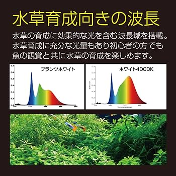 Amazon | ゼンスイ LED Viiita 600 ヴィータ ビータ 48W 3,800lm