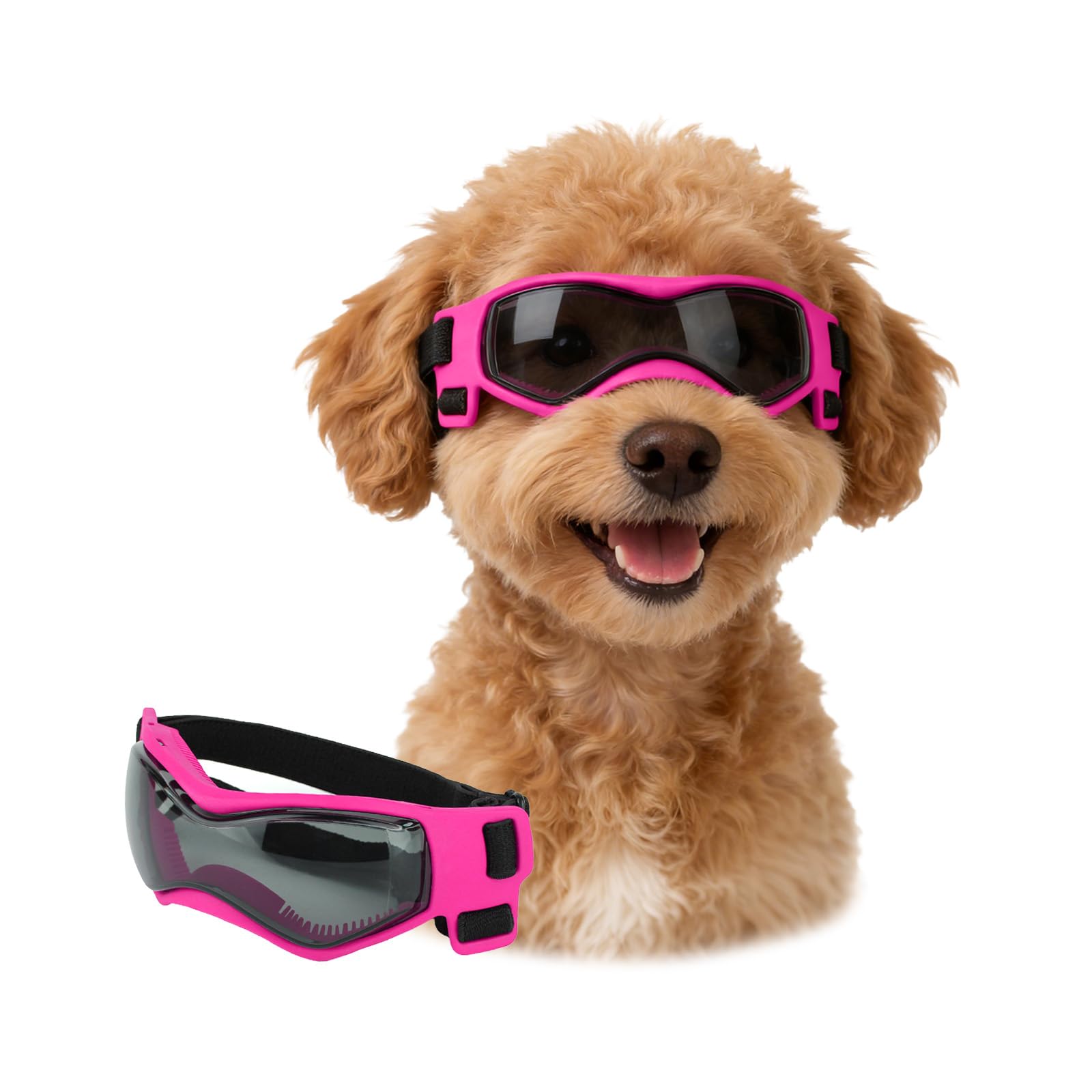 Amazon | Lesypetドッグゴーグル 小型犬用, 犬用サングラス UVカット