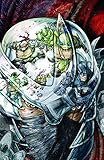 BATMAN TEENAGE MUTANT NINJA TURTLES #3 (OF 6) Cover A