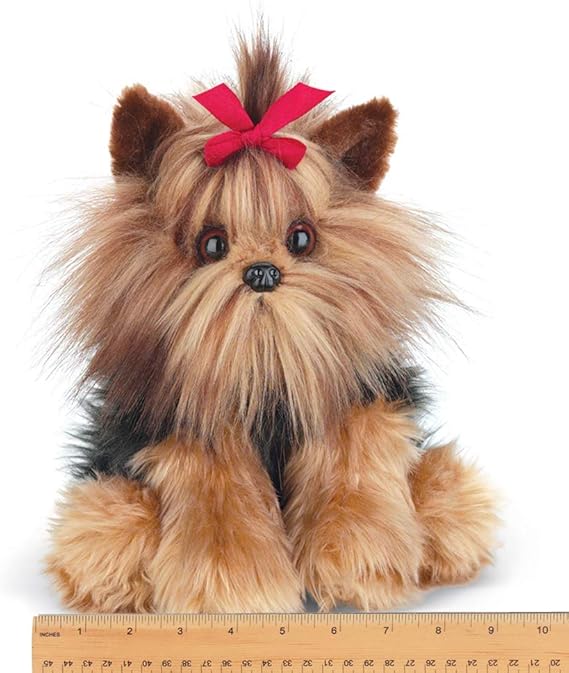yorkie teddy