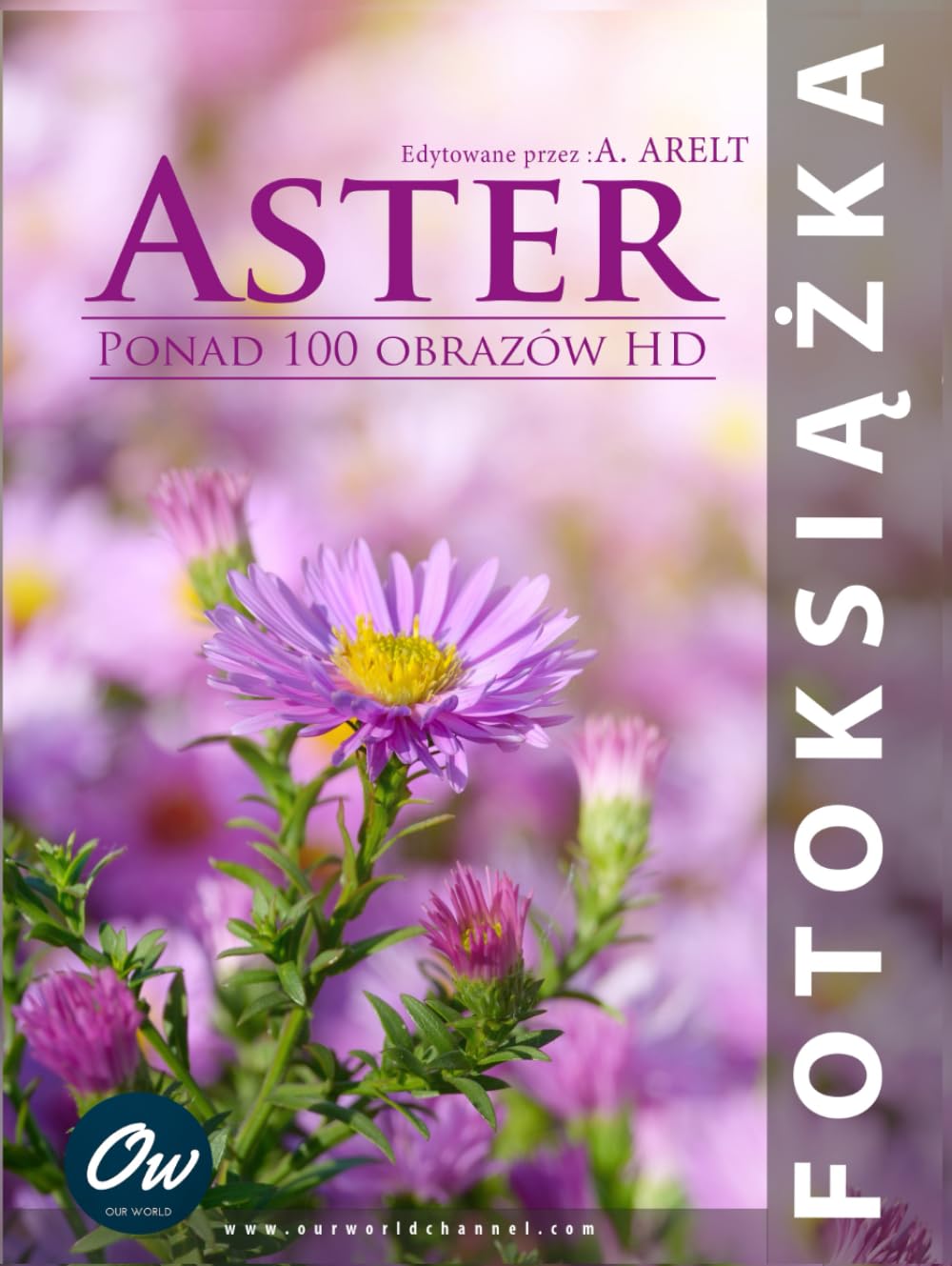Livre photo Aster grand format album souvenirs personnalisable