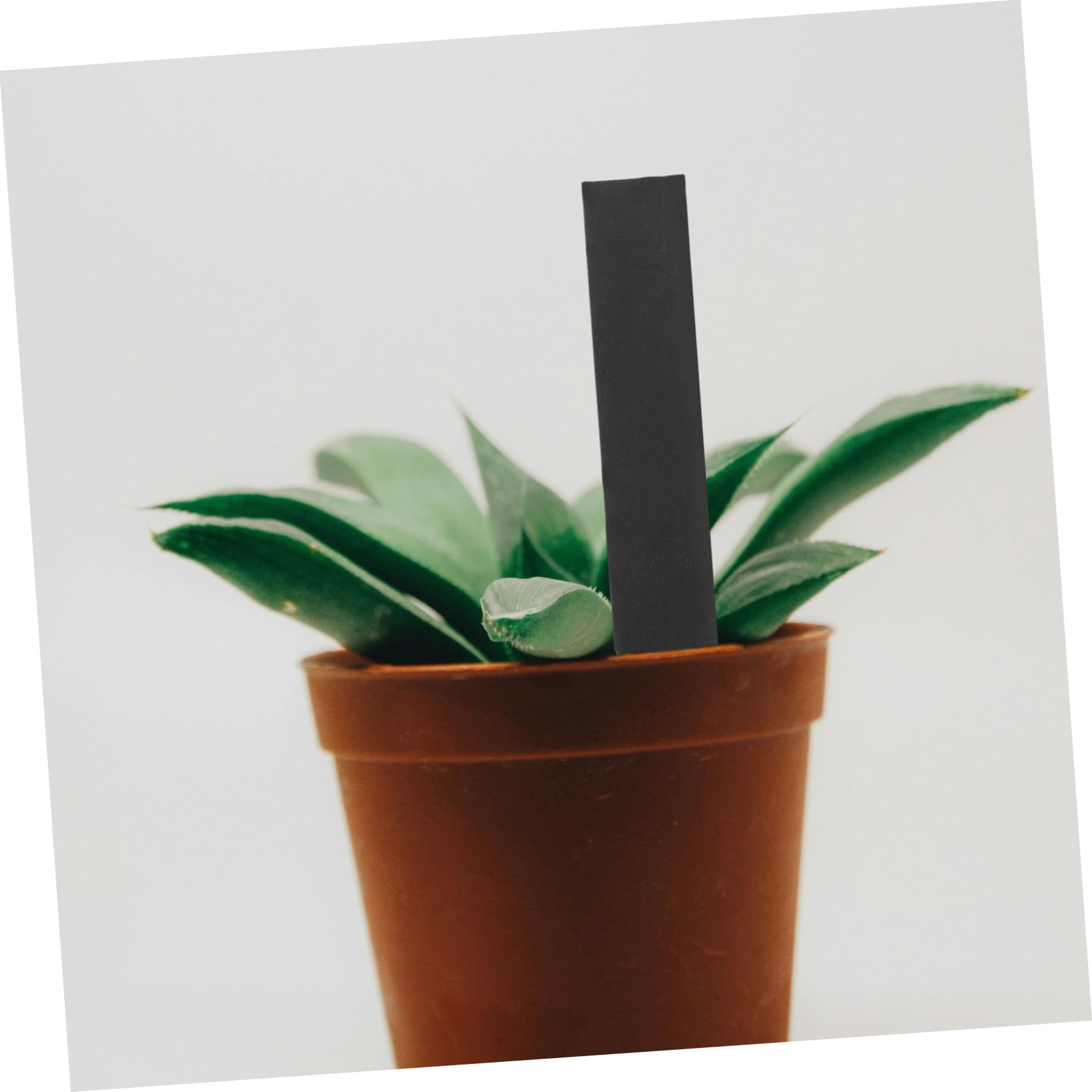 ibasenice 2 Ensembles Étiquettes Ardoise Pour Plantes Marqueurs Durables Pour Jardin Et Semis Faciles À Écrire Et Insérer 10 Pièces * 2