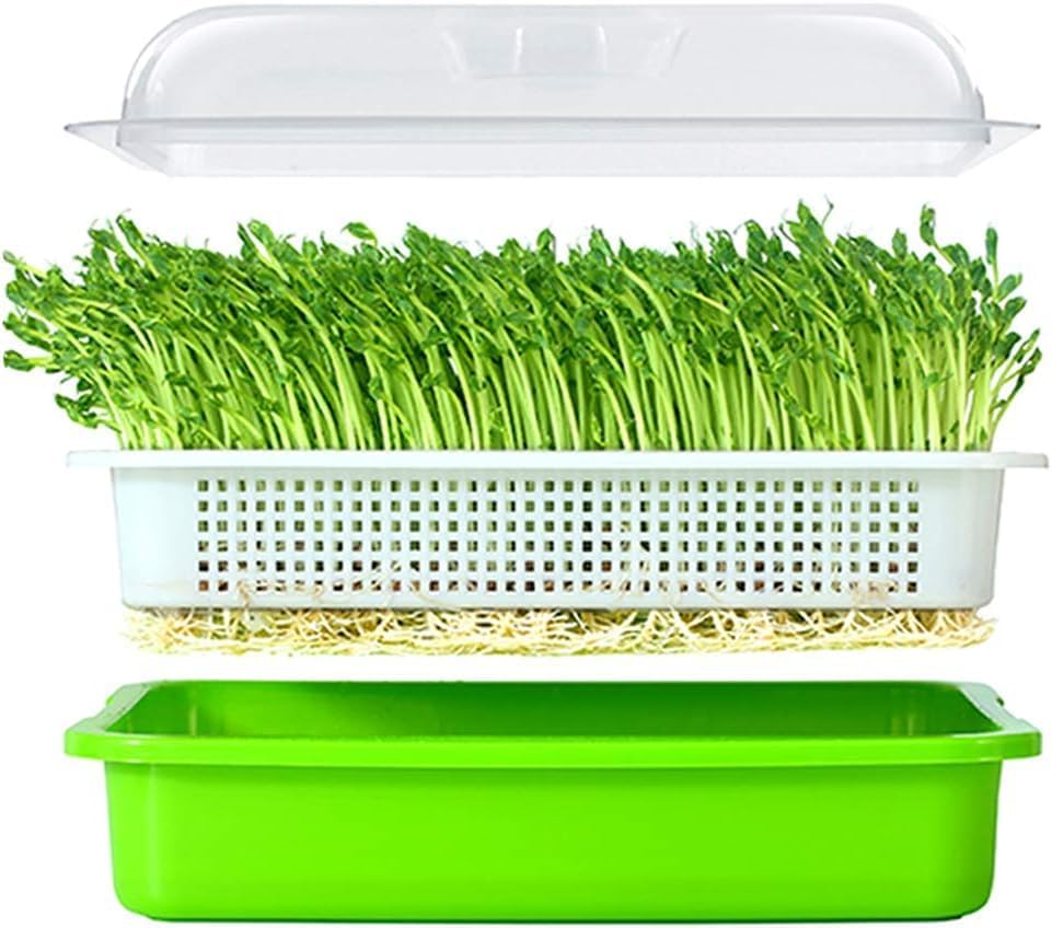 Garden Seed Sprouter Tray BPA Free PP Soil-Free Big Capacity Healthy Wheatgrass Grower with Lid Sprouting Kit 13.4x9.84x4.72 inches (Pack of 4 PCs)