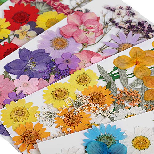 Flores secas para resina DIY 1 bolsa para manualidades miniatura 6
