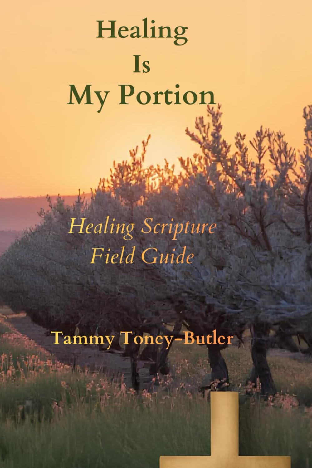 Healing is My Portion: Healing Scripture Field Guide