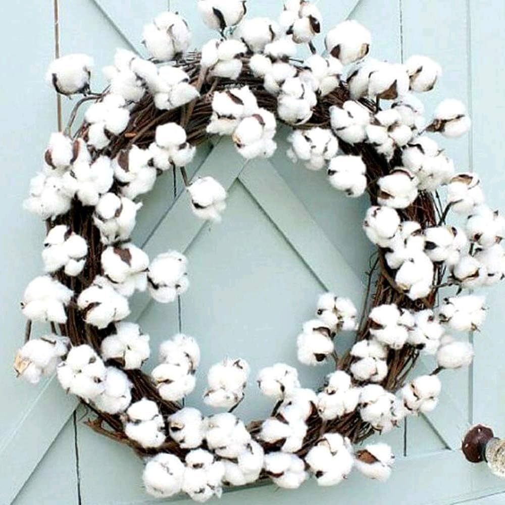 GTIDEA 5 Pack Cotton Stems Flowers Decor Total 50 Balls Natural Cotton Plant Farmhouse Dried Floral Arrangement for Home Table Centerpiece Vase Party Wedding Decorations (22 Inch)