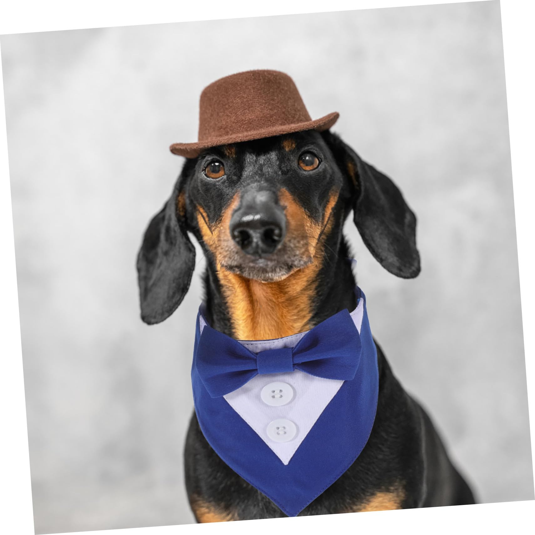 VICASKY 4 Pièces Bandana Chien Mariage Bleu XS Élégant pour Costume Animal Accessoire Fête Photo Protège Cou Propre et Bandanas pour Chiens