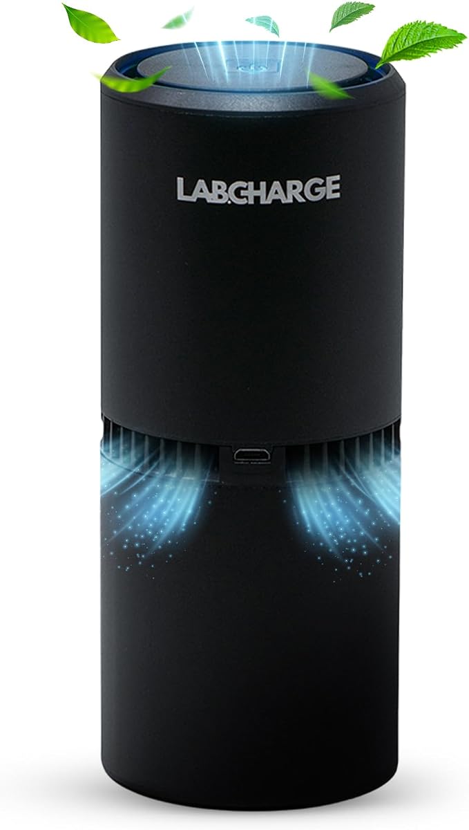 Lab Charge Small Ionic Air Purifier for Home & Bedroom – Silent HEPA Filter – Covers 250 Sq Ft - Free Cleaner for Pets, Hair, Smoke, Dust, Odors & Dander – Compact & Black Design