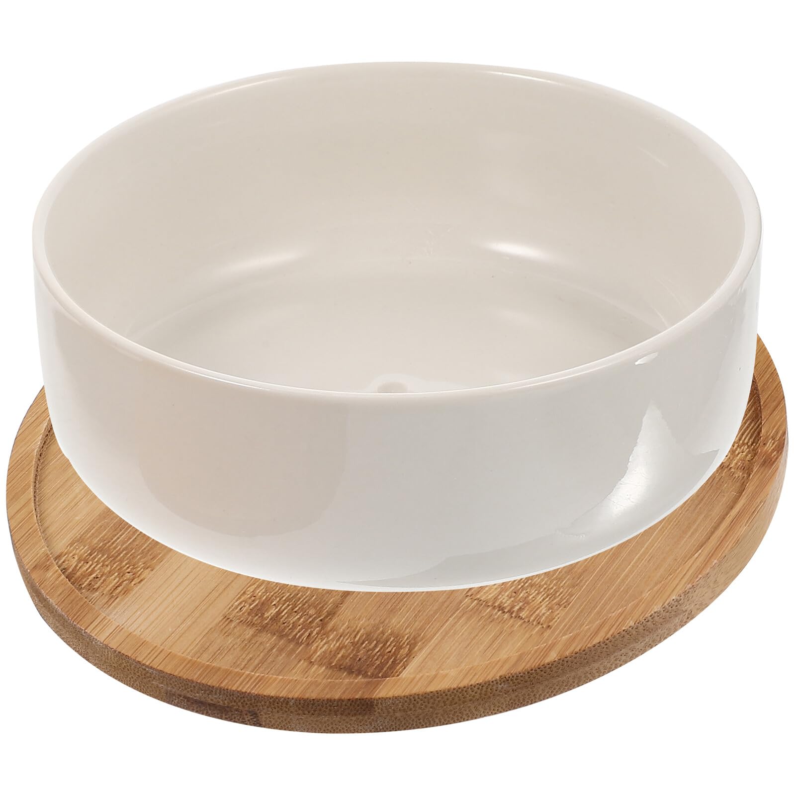 Pot pour plante succulente pot de fleur drainant céramique avec plateau