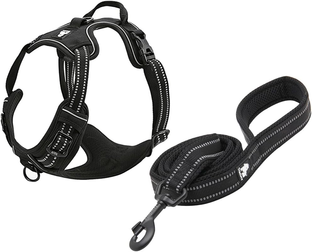 Creation Core Reflective Nylon Dog Harness and Training Leash Set Padded Durable Adjustable, Orange M