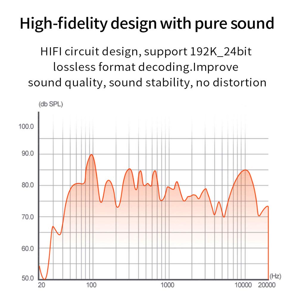 RSGK DAC 5.1CH HiFi Convertidor Decodificador De Audio Digital a Analógico Audio Estéreo DTS AC3 PCM Fibra Óptica Coaxial a RCA 3.5MM 2CH