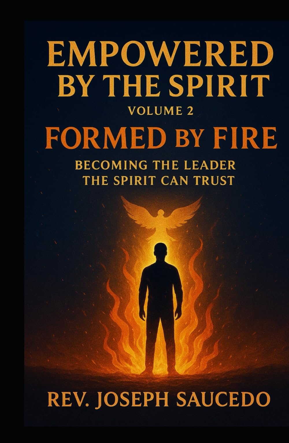 Formed by Fire: Becoming the Leader the Spirit Can Trust: Empowered by the Spirit, Volume 2