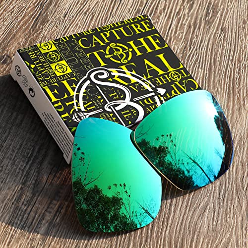 Image of Bowyer POLARIZED Replacement Lenses for Oakley Thinlink OO9316 Sunglasses