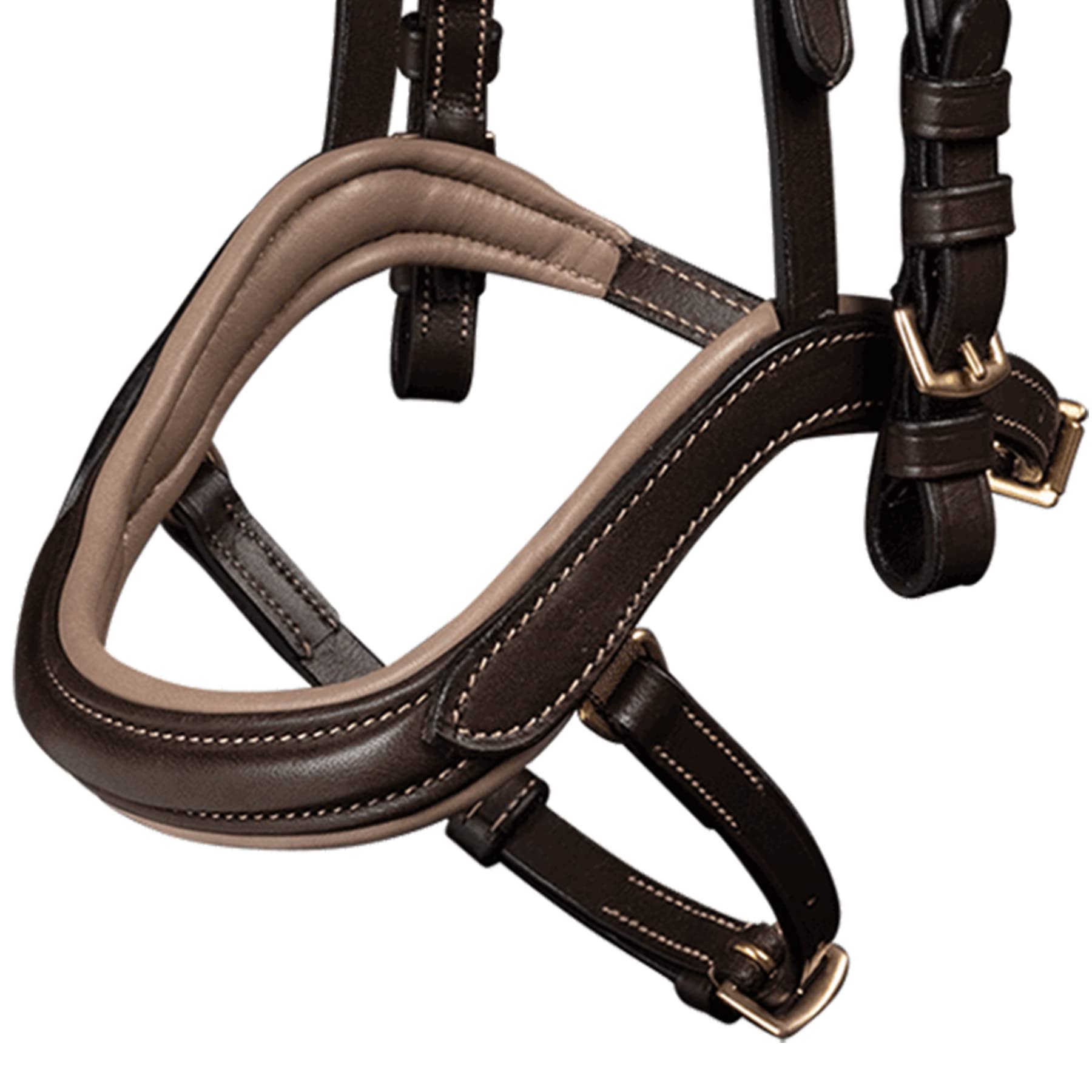 WALDHAUSEN Island Trensenzaum Anatomic