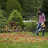 WORX Souffleur Aspirateur Broyeur 3000W WG505E 3-en-1 - 7