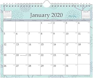 Amazon.com: Blue Sky 2020 Monthly Wall Calendar, Twin-Wire Binding, 11 ...