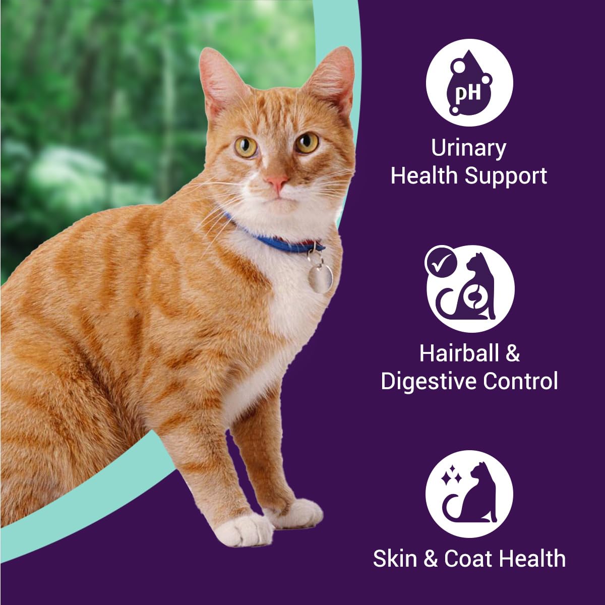 Purrfeto Adult Dry Cat Food | Chicken & Rice | 1.2 kg Ingredients | 40% Reduction in Urinary Track Diseases |Anti Hairball Formula |Healthy Skin & Coat |Improves Digestive Health 1