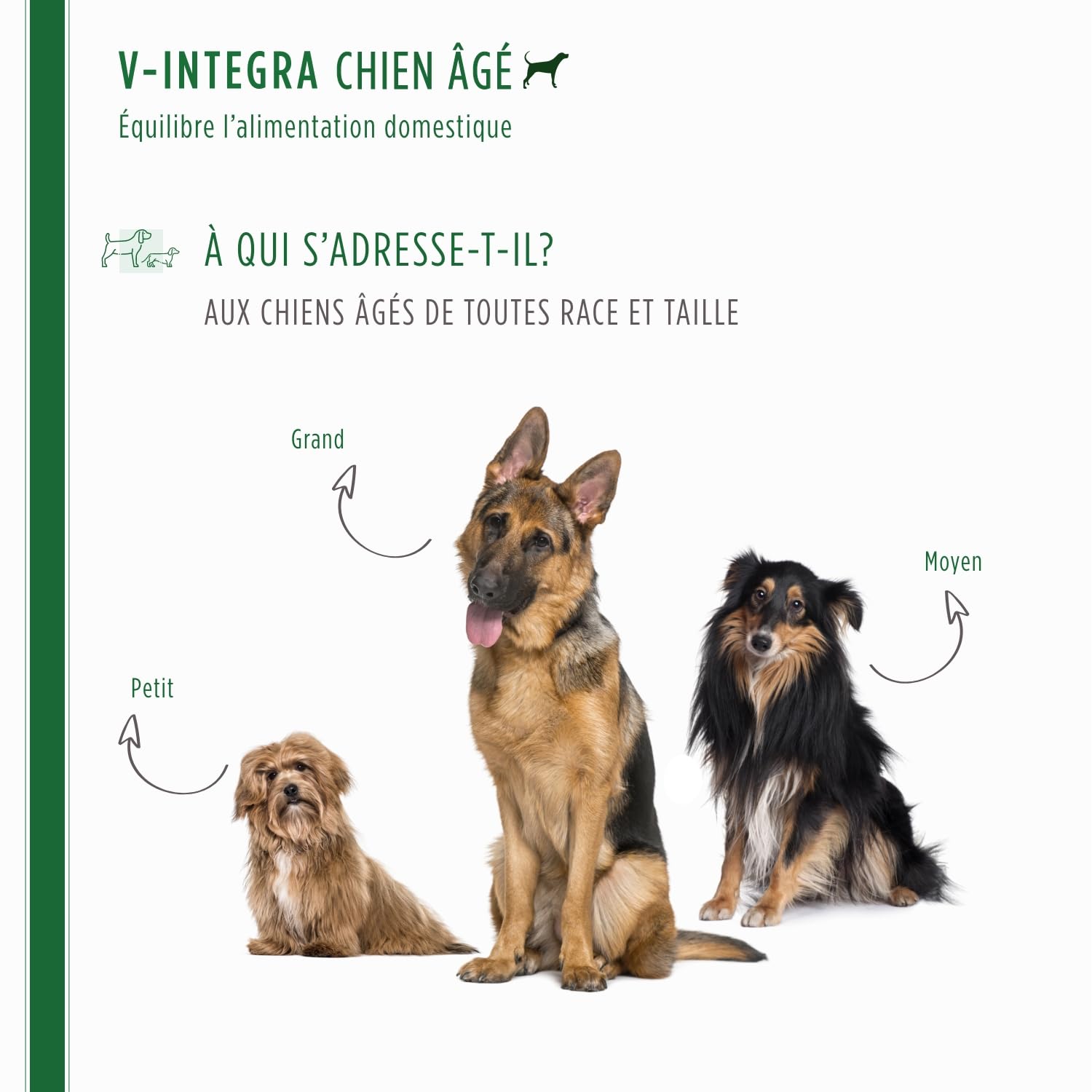 V-INTEGRA Chien Agé - Supplément Complet Riche en vitamines et minéraux pour la Ration ménagère et Barf des Chiens âgés - 200 g - Produit en Italie