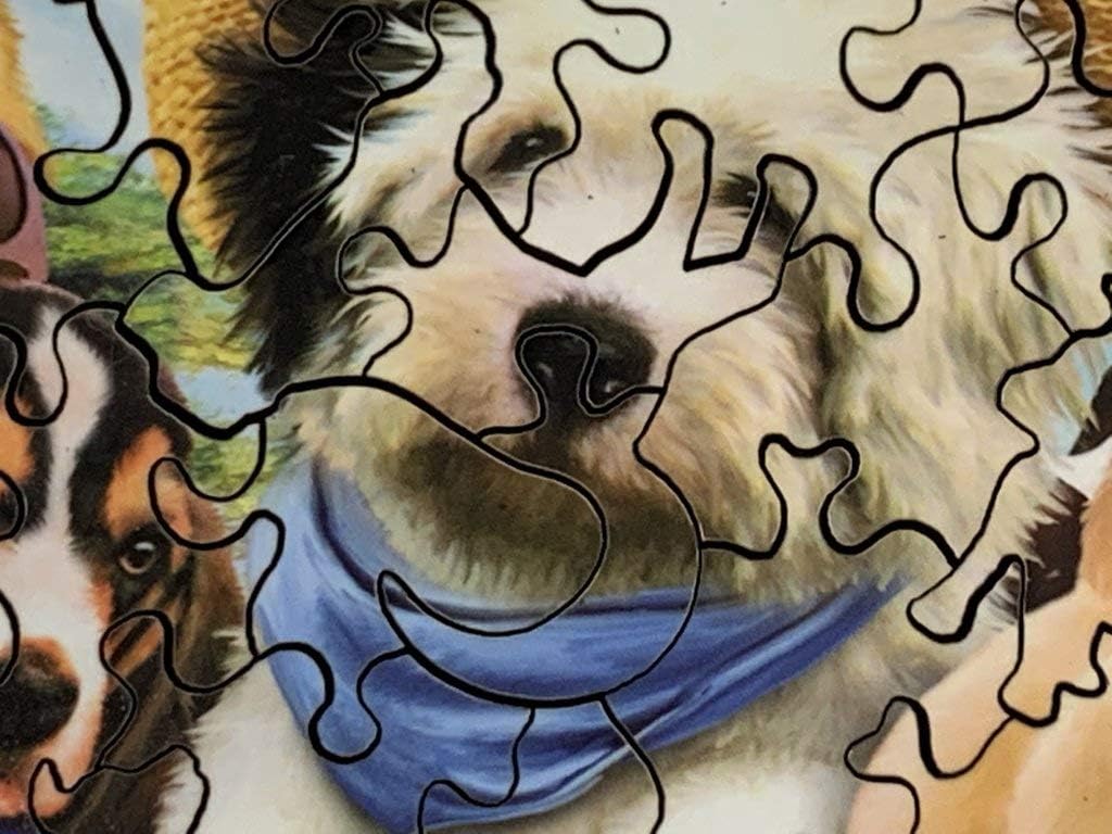 Wooden Jigsaw Puzzle for Adults - Dogs in Togs by Howard Robinson - 150 Pieces - Made in USA by Nautilus Puzzles