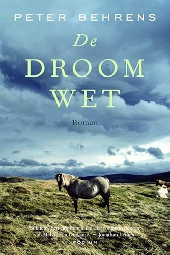 De Droomwet 9057592118 Book Cover