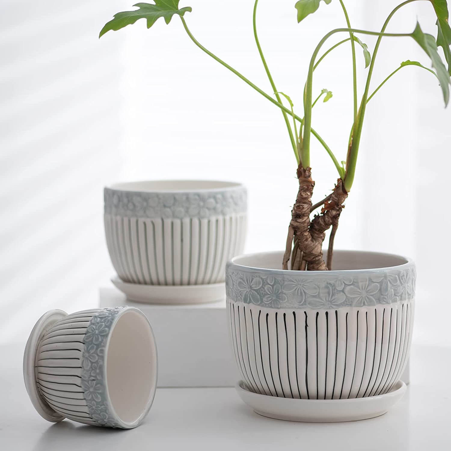 See full amazon price history chart for Garden Art Ceramic Indoor Planter Pots in White Colour | Planters with Drainage Hole and Saucer | Set of 3 | without Plant GA84013-WL Garden Art Ceramic Indoor Planter Pots in White Colour | Planters with Drainage Hole and Saucer | Set of 3 | without Plant GA84013-WL (B0B6CC55GG) Amazon Price History, Amazon Price Tracker