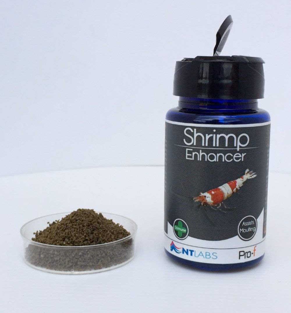 3 x Shrimp Enhancer 40g Shrimp Food Aquarium