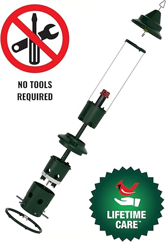 Miniatura 2 de Squirrel Buster Plus - Comedero para pájaros a prueba de ardillas con anillo cardenal